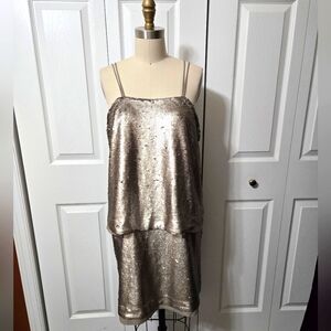 Banana Republic Champagne Sequin Dress, Size 12, EUC